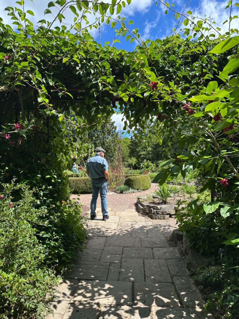 Wide accessible paved pathway at Olbrich Botanical Gardens suitable for wheelchair users