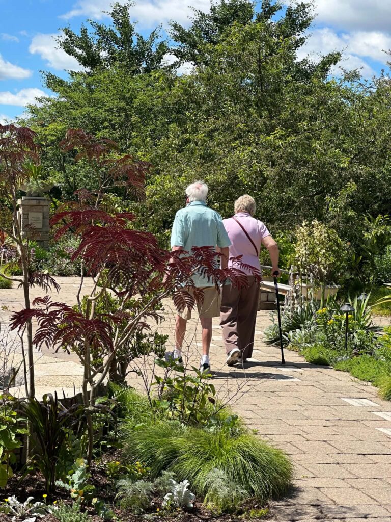 Wheelchair accessible boardwalk pathway at Olbrich Botanical Gardens