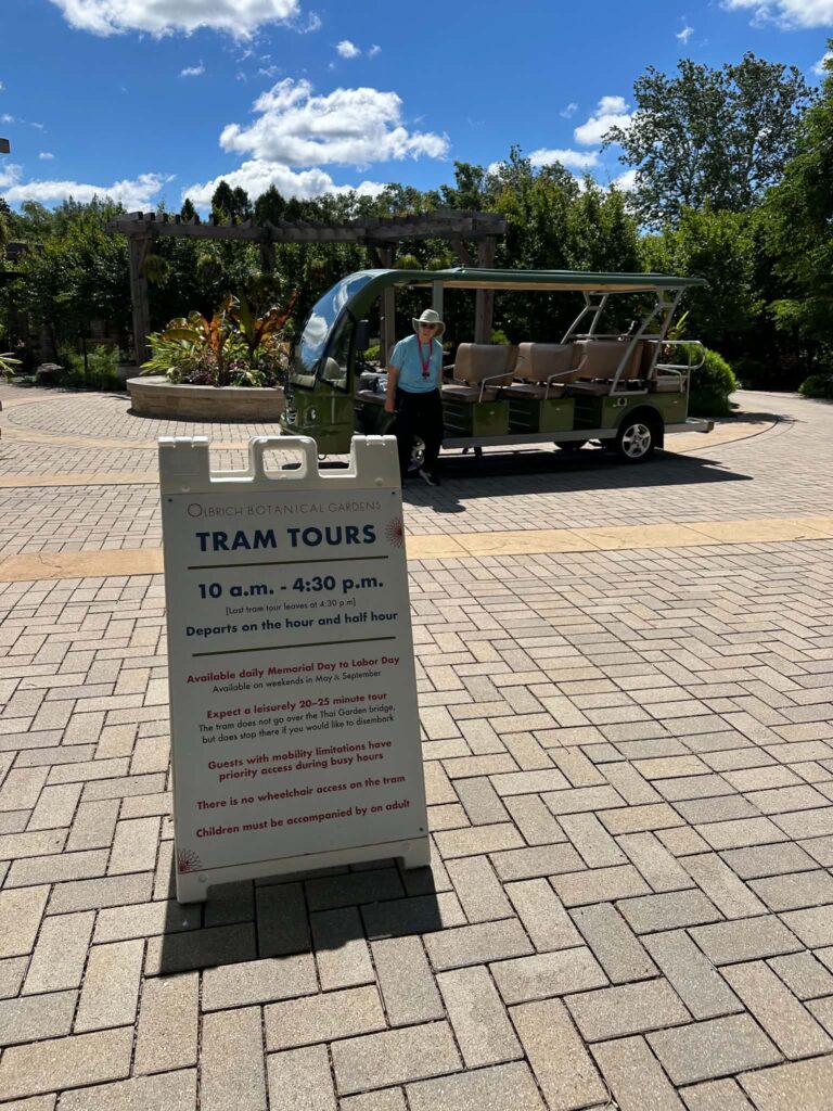 Free tram tour