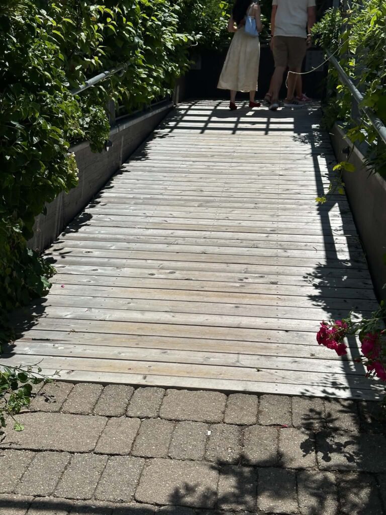 Wheelchair accessible wooden boardwalk trail surrounded by plants at Olbrich Botanical Gardens