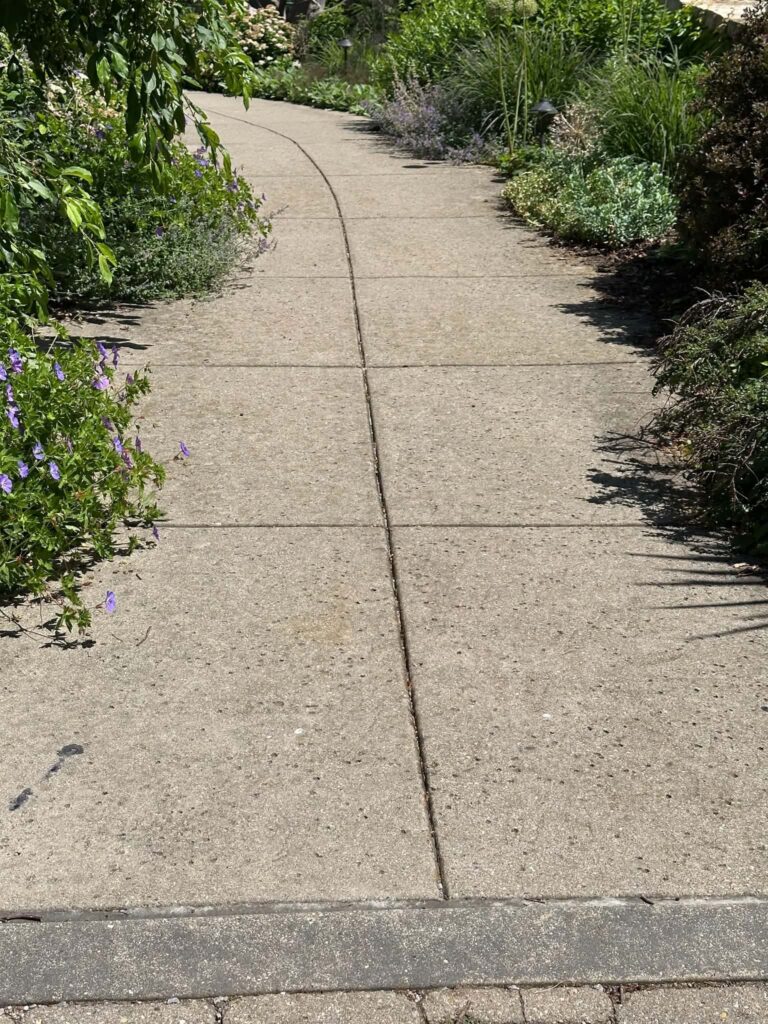 Wide accessible paved pathway at Olbrich Botanical Gardens suitable for wheelchair users